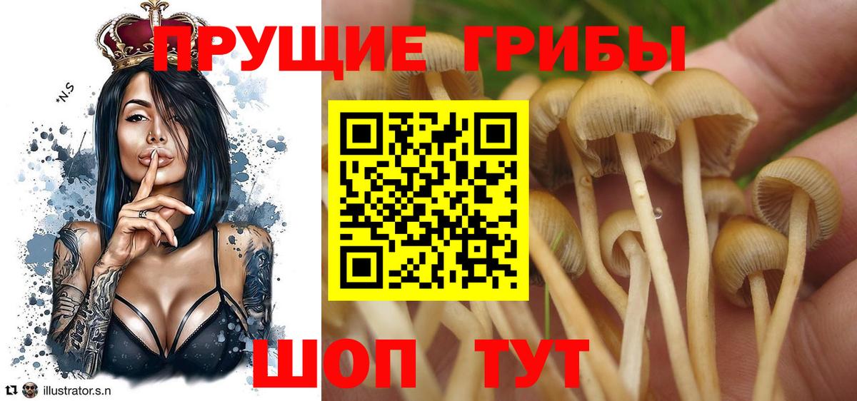 Галлюциногенные грибы мухоморы  Вход с VPN  Хабаровск 